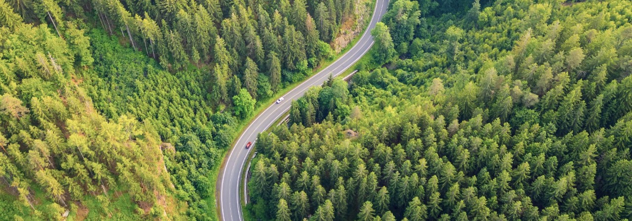A serpentine asphalt road traverses a verdant forest valley, surrounded by tall trees and rolling hills. Nature thrives in every direction, inviting exploration and adventure.