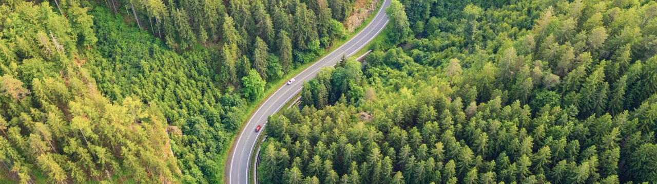 A serpentine asphalt road traverses a verdant forest valley, surrounded by tall trees and rolling hills. Nature thrives in every direction, inviting exploration and adventure.